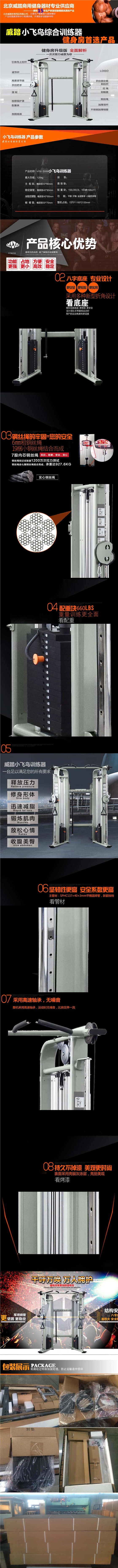 小飛鳥描述-1