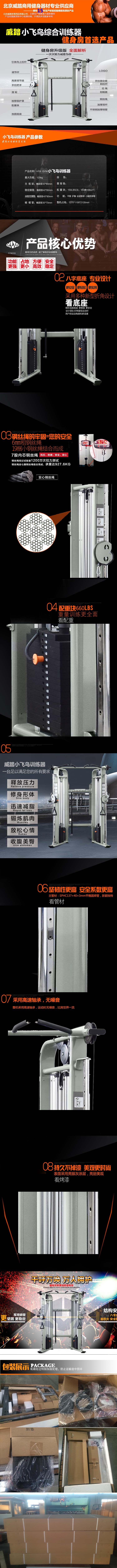小飛鳥描述-1